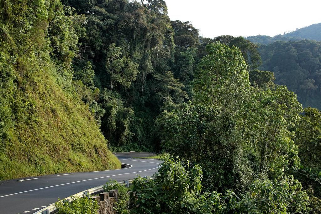 Getting to Nyungwe Forest National Park