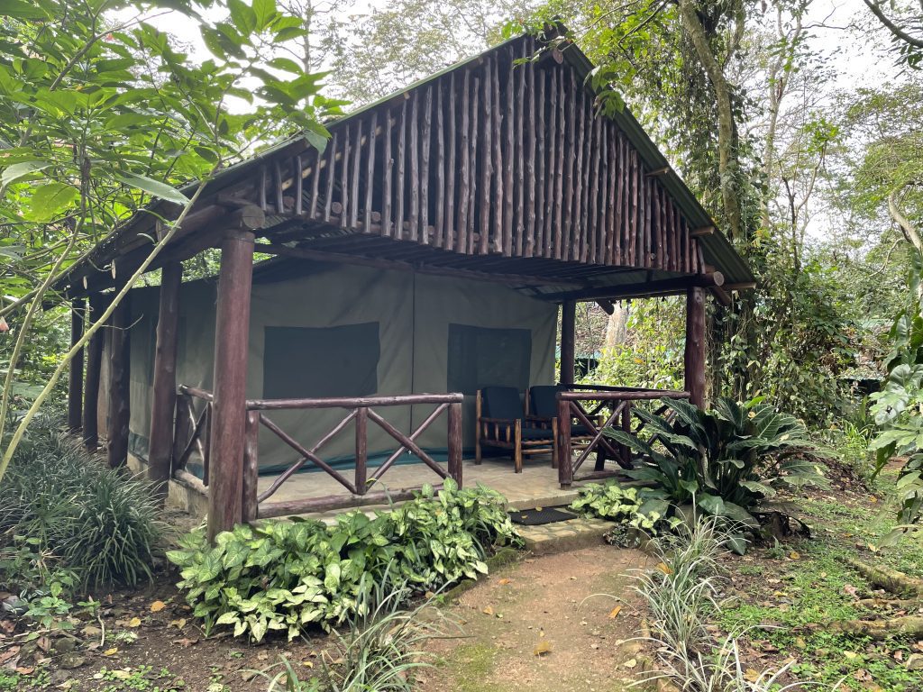 Kibale forest Camp - Laba Africa Expeditions