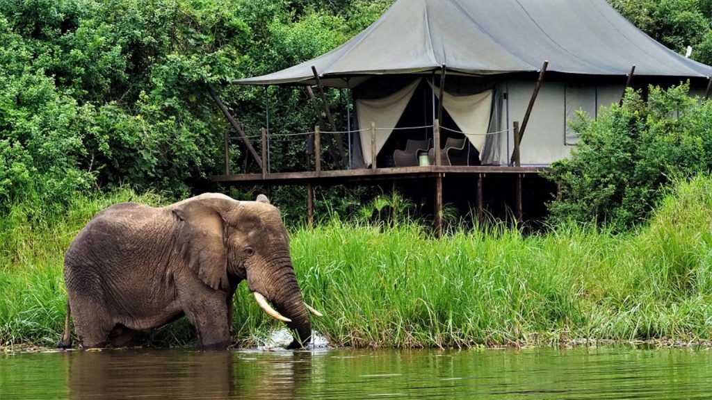 10 Days Best Rwanda Safari