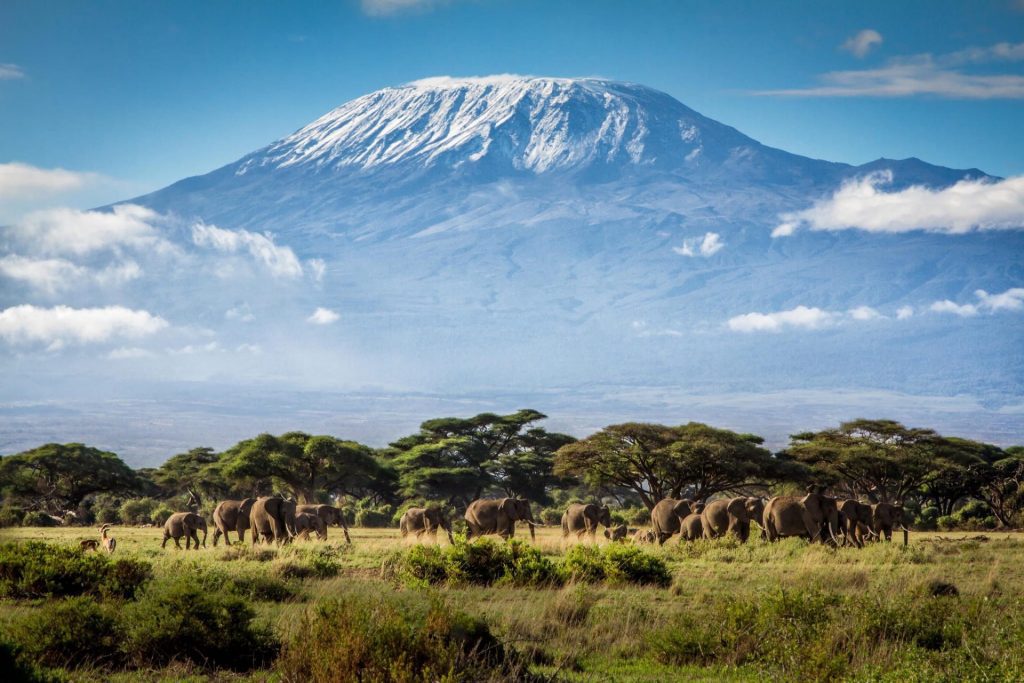 Kilimanjaro Hike-Marangu Route