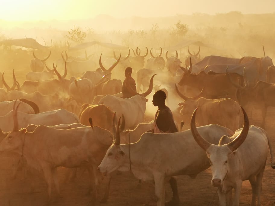 Mundari-Dinka-Photography-tour-laba-africa-expeditions-photo