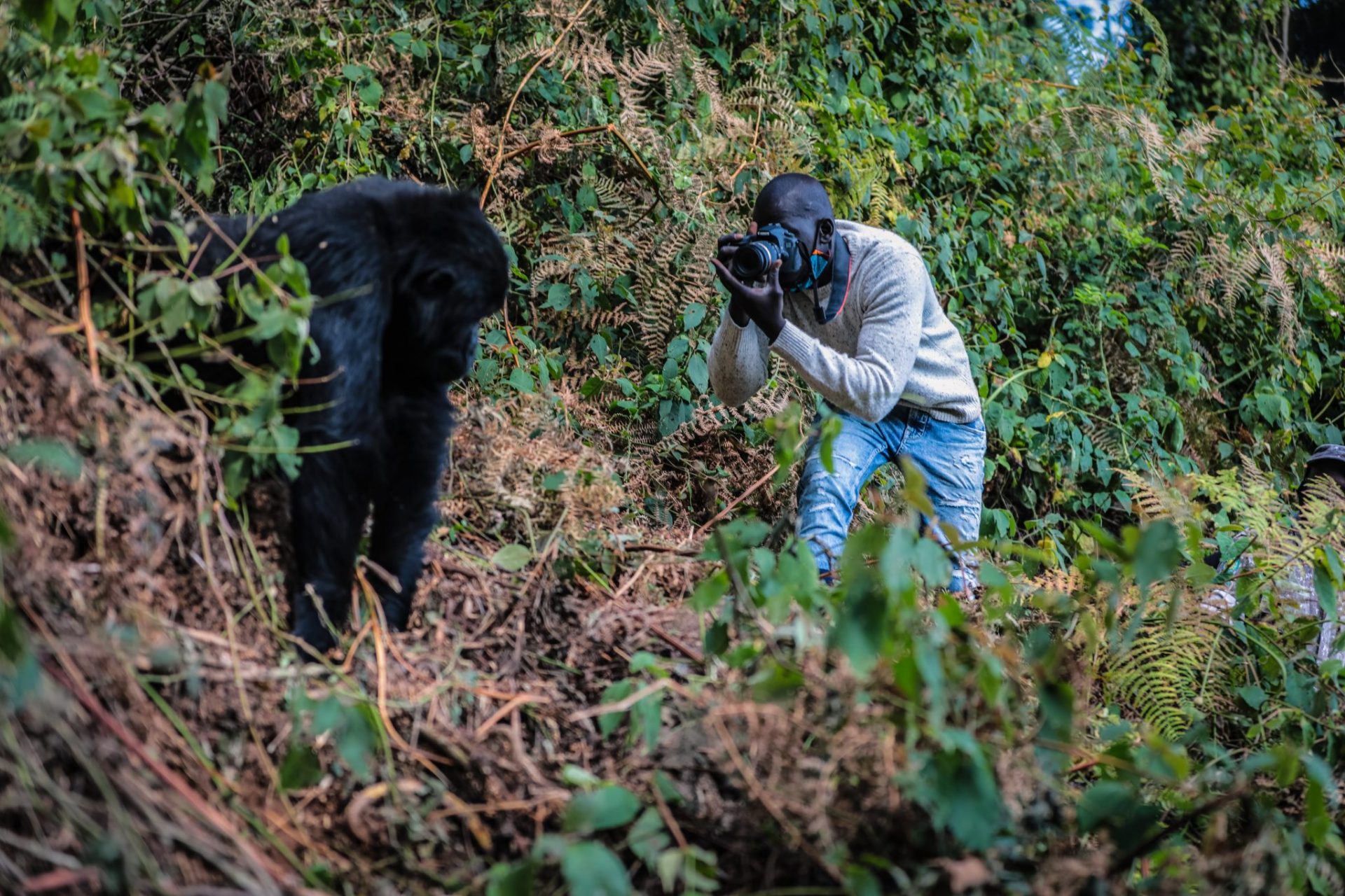 Photo of gorilla trekking in Ruhija- Laba Africa Expeditions 