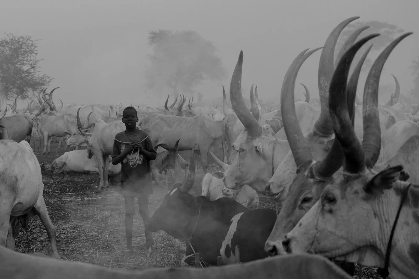 When to visit South Sudan