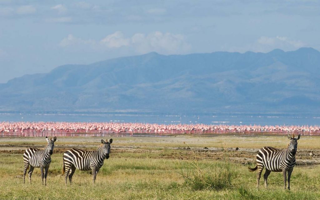 5-Days Tanzania Luxury Safari