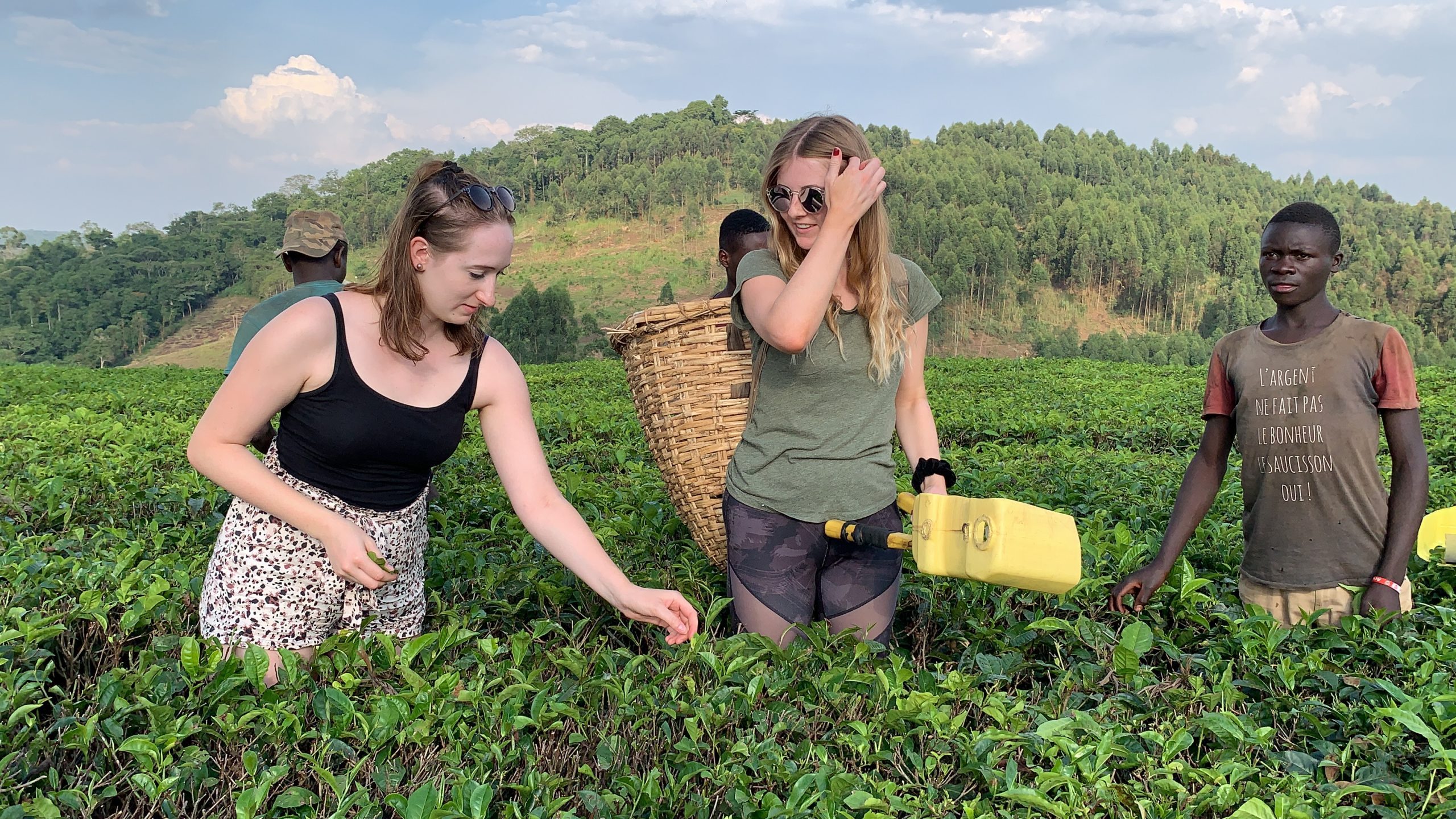Tea Plantations tour Uganda - Laba Africa Expeditions - Photo