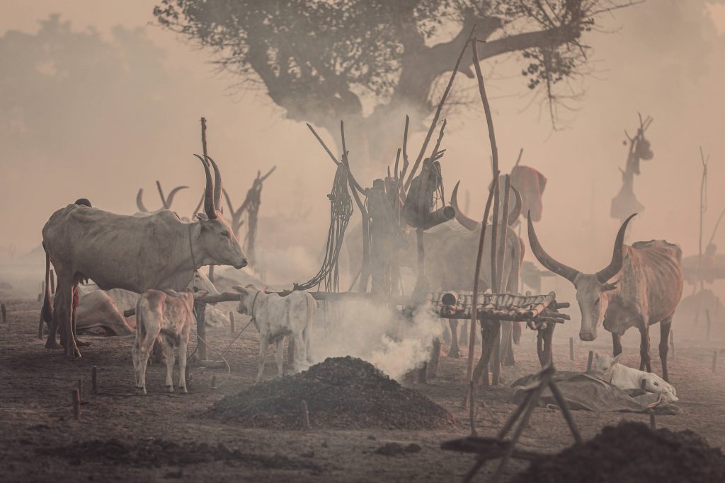 Mundari cattle camps south sudan - Laba Africa Expeditions photos