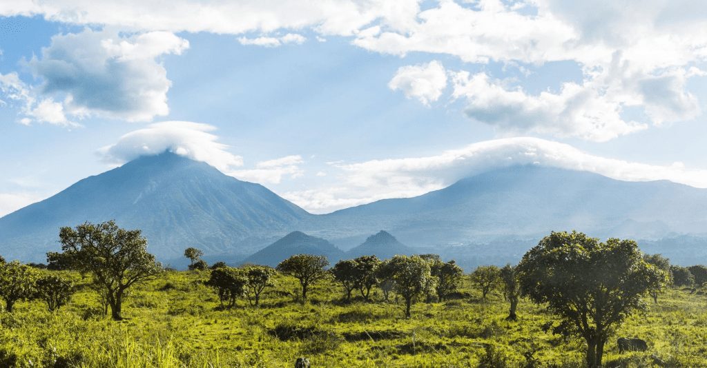 Rwanda Hiking Safaris