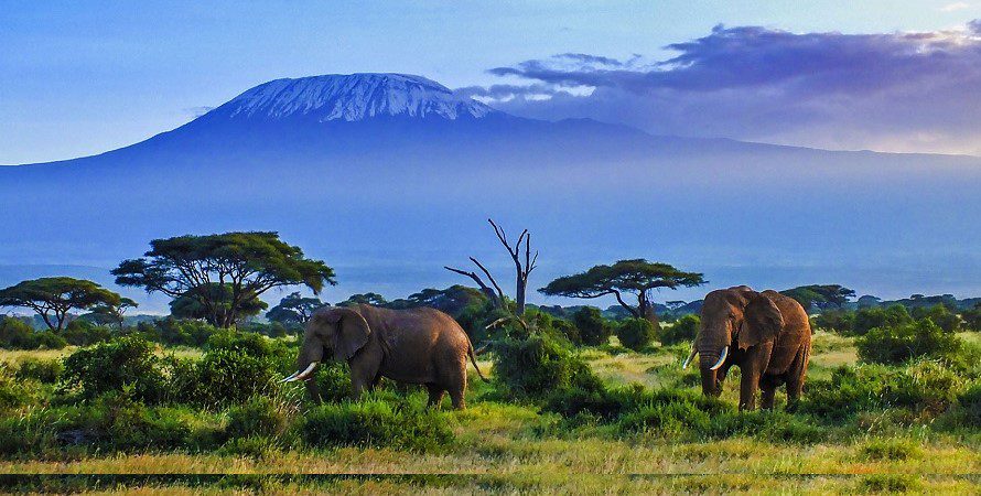 3 Days Amboseli National Park Safari