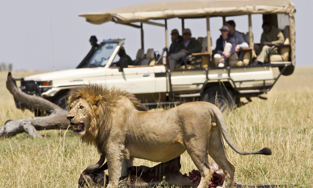 Is Uganda good for safari
