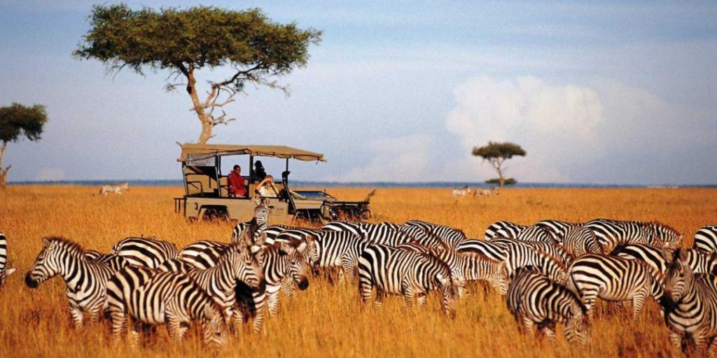 Kenya Safari cost