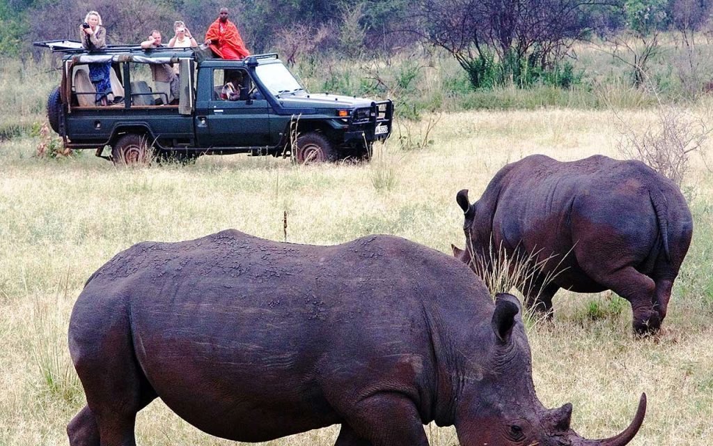 6-Day Kenya Safari