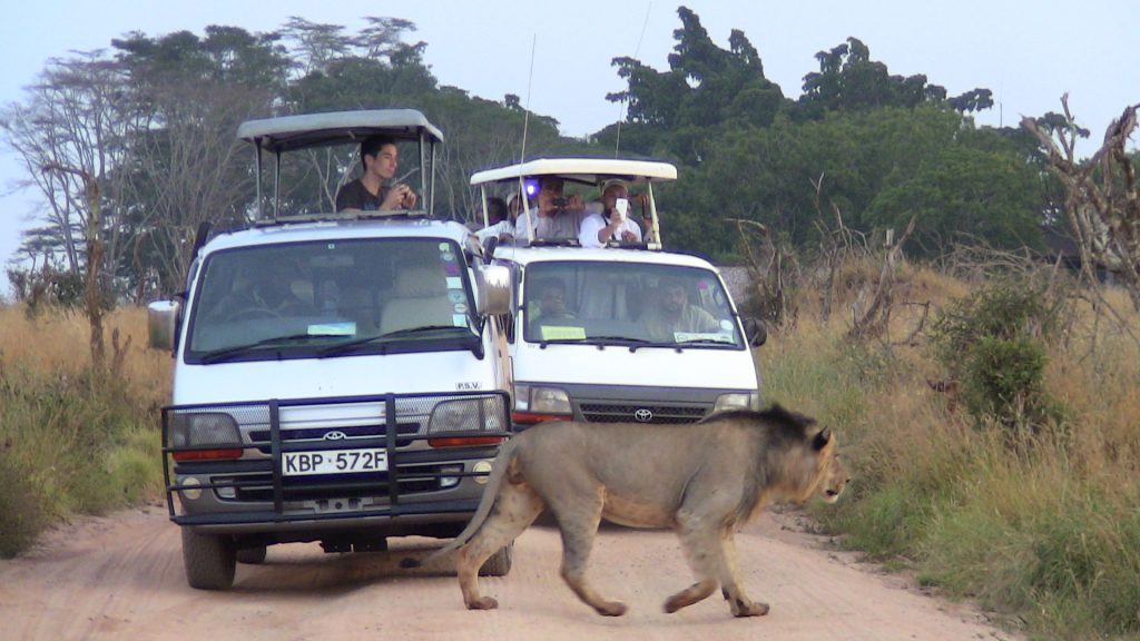safari kenia price