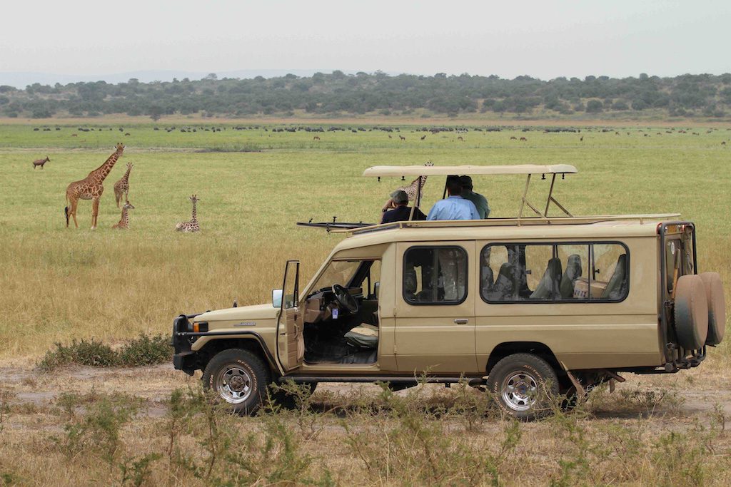 Is Uganda good for safari