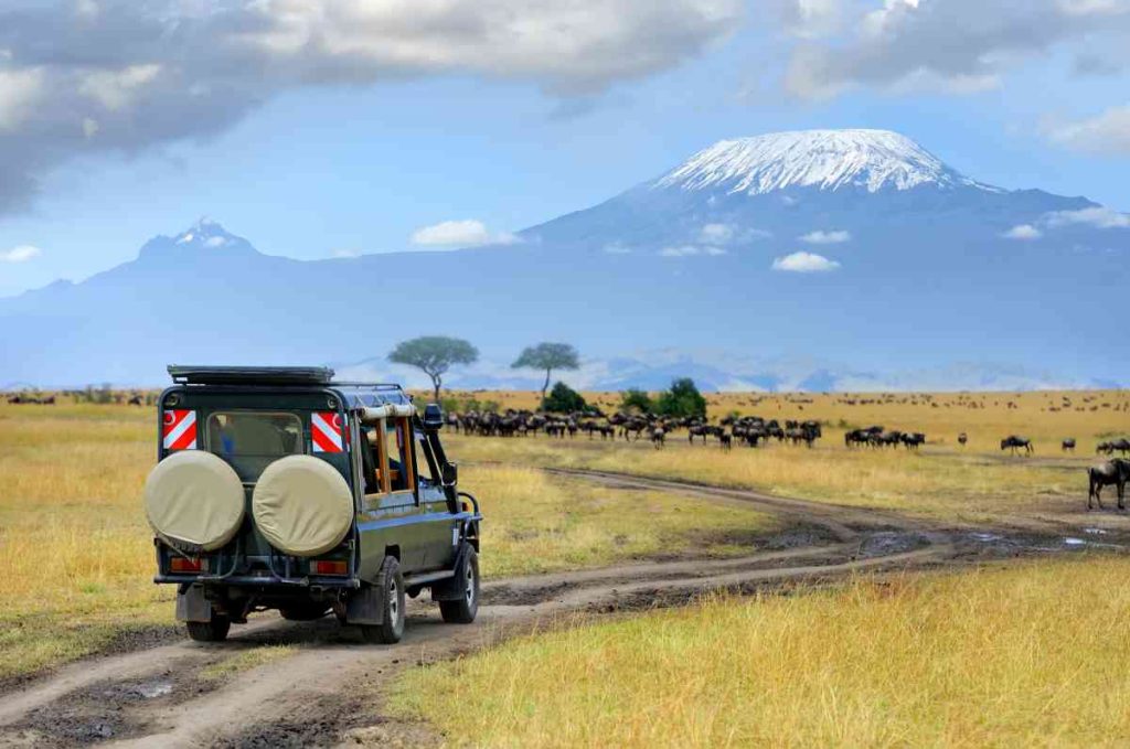 Challenges Solutions of Self-Drive Safaris in Kenya and Tanzania