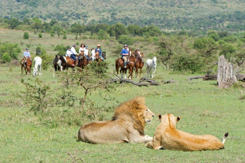 Combien coûte un safari en Ouganda?