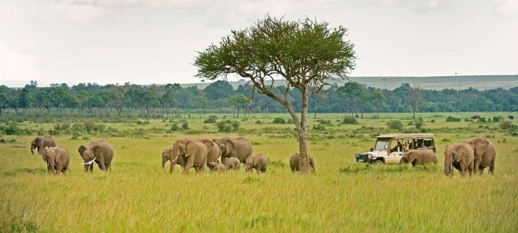 kenia safari selbstfahrer
