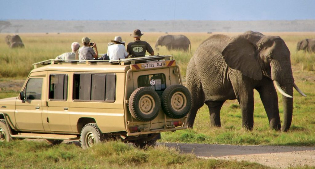 Luxury Serengeti Safaris