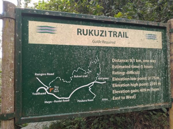 Umuyove trail in Nyungwe Forest