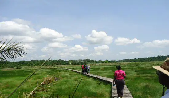 Kihingami Wetland Sanctuary