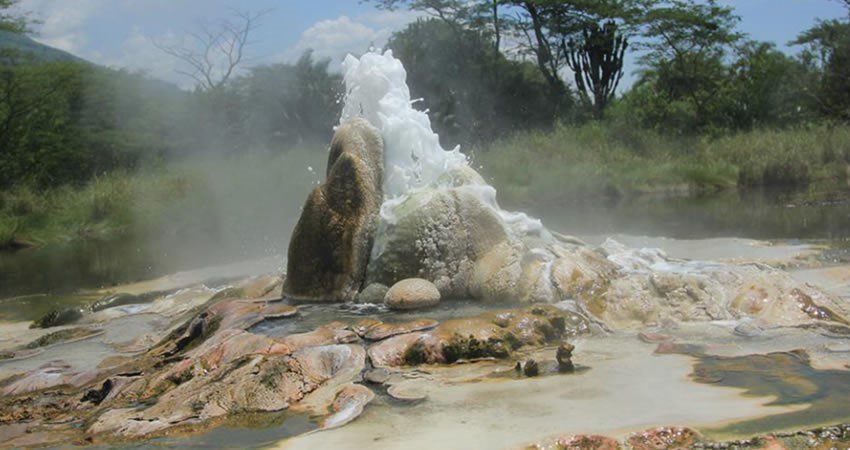 Le parc national de Semuliki - Ouganda